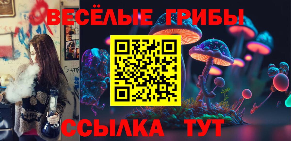 Сарапул  Галлюциногенные грибы Psilocybine cubensis  Вход с VPN 